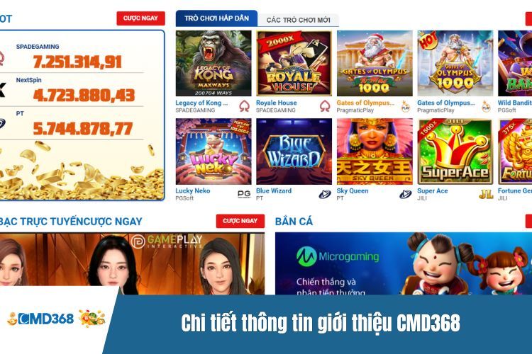 Chi tiết thông tin giới thiệu CMD368