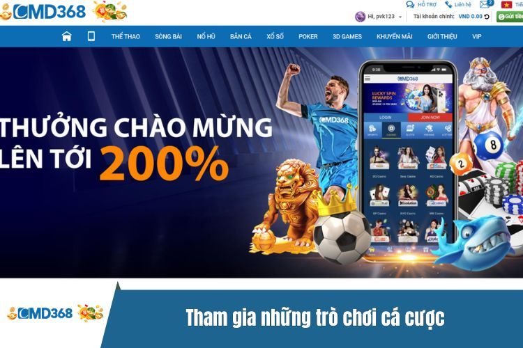 Tham gia những trò chơi cá cược